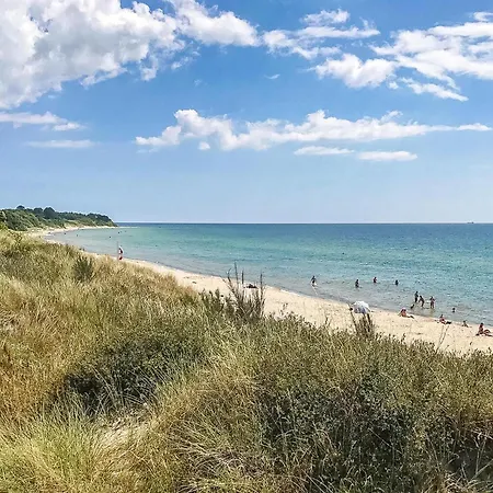 Beautiful In With Wifi *